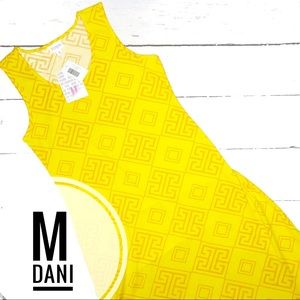 LuLaRoe Dani Dress. New, never worn